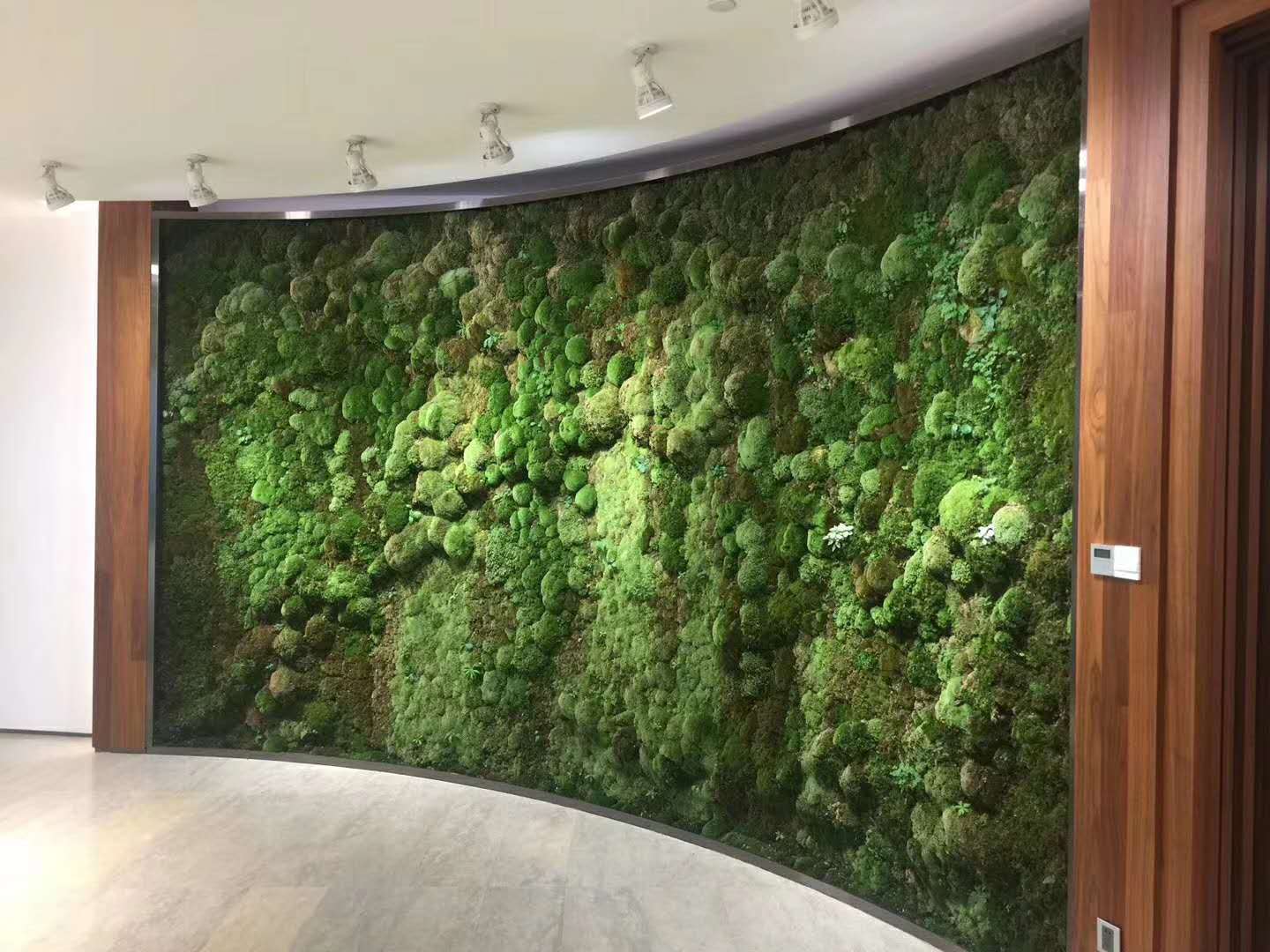 垂直绿化